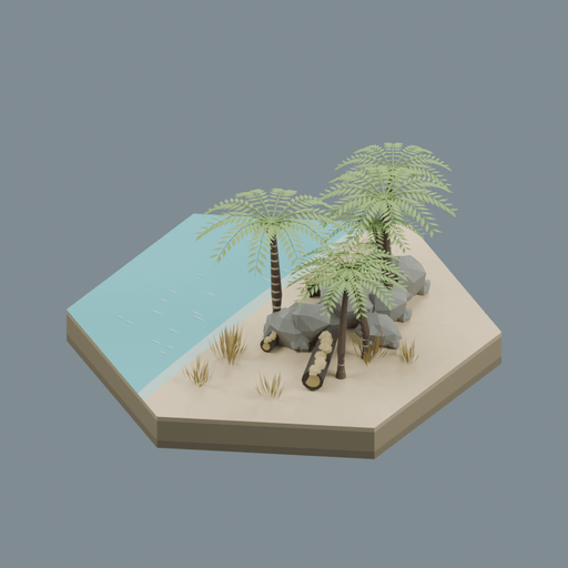Beach biome