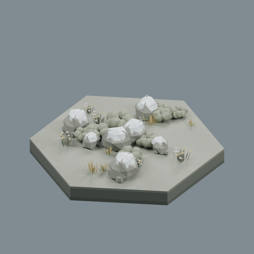 Tundra biome